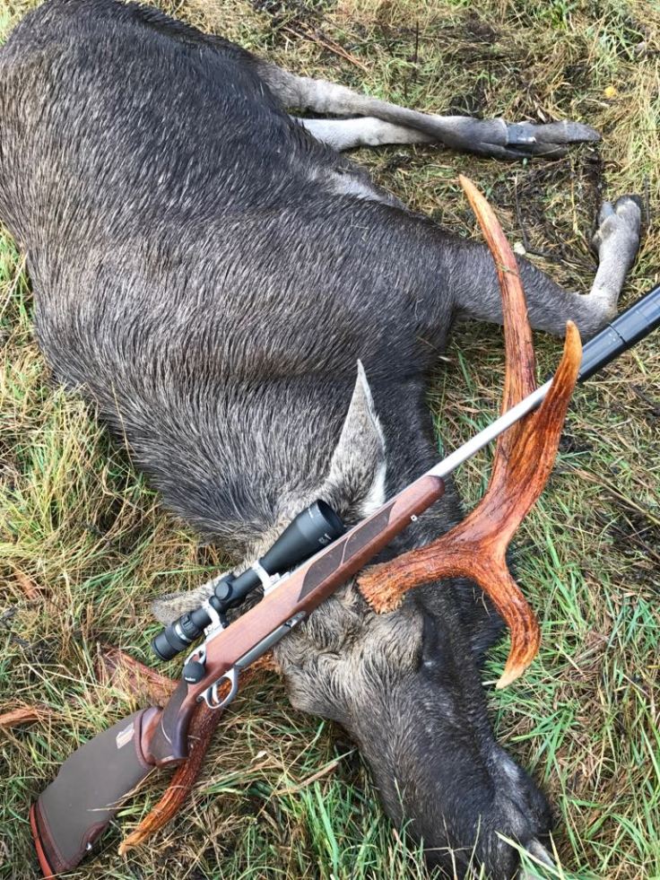 IMG-20171014-WA0010001