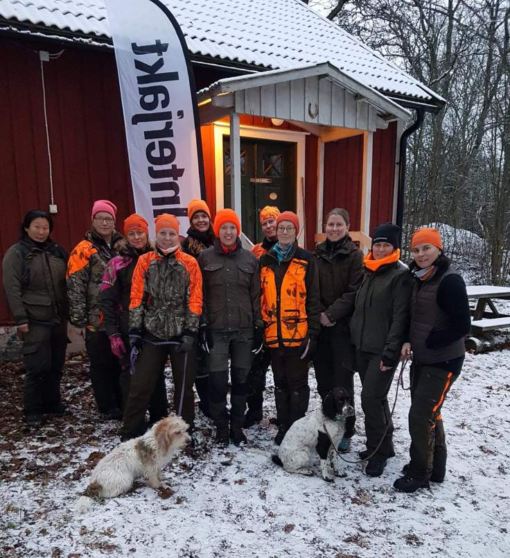 FB_IMG_1544973873293