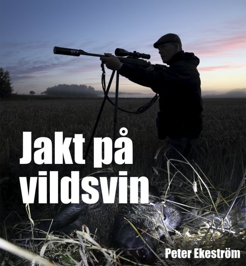Foto-Jakt på vildsvin